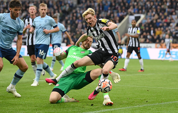 Newcastle United v Brentford FC - Premier League